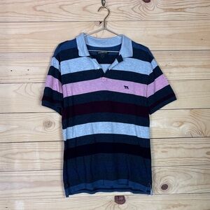 Rodd & Gunn Multicolor Striped Polo Shirt